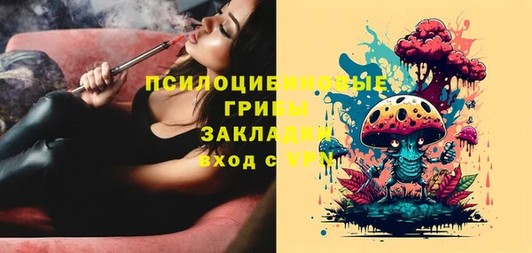 бошки Алзамай