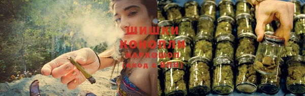 бошки Алзамай