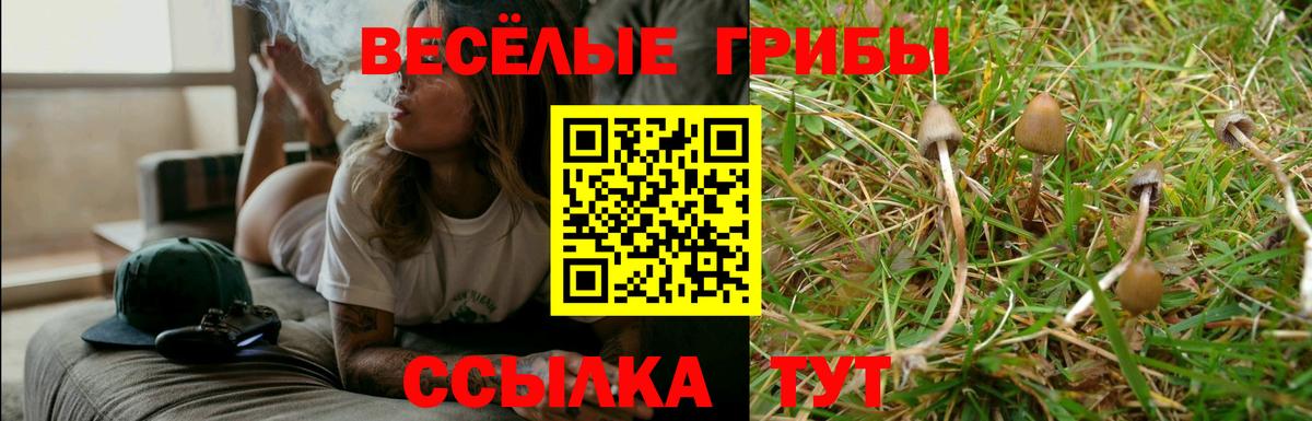 Галлюциногенные грибы MAGIC MUSHROOMS Котельники
