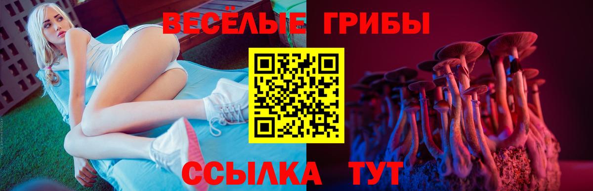 где продают   Вход с VPN  Котельники  Псилоцибиновые грибы Cubensis 