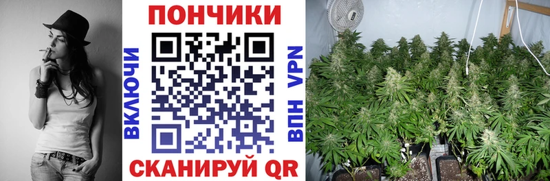 Бошки Шишки гибрид  Котельники 